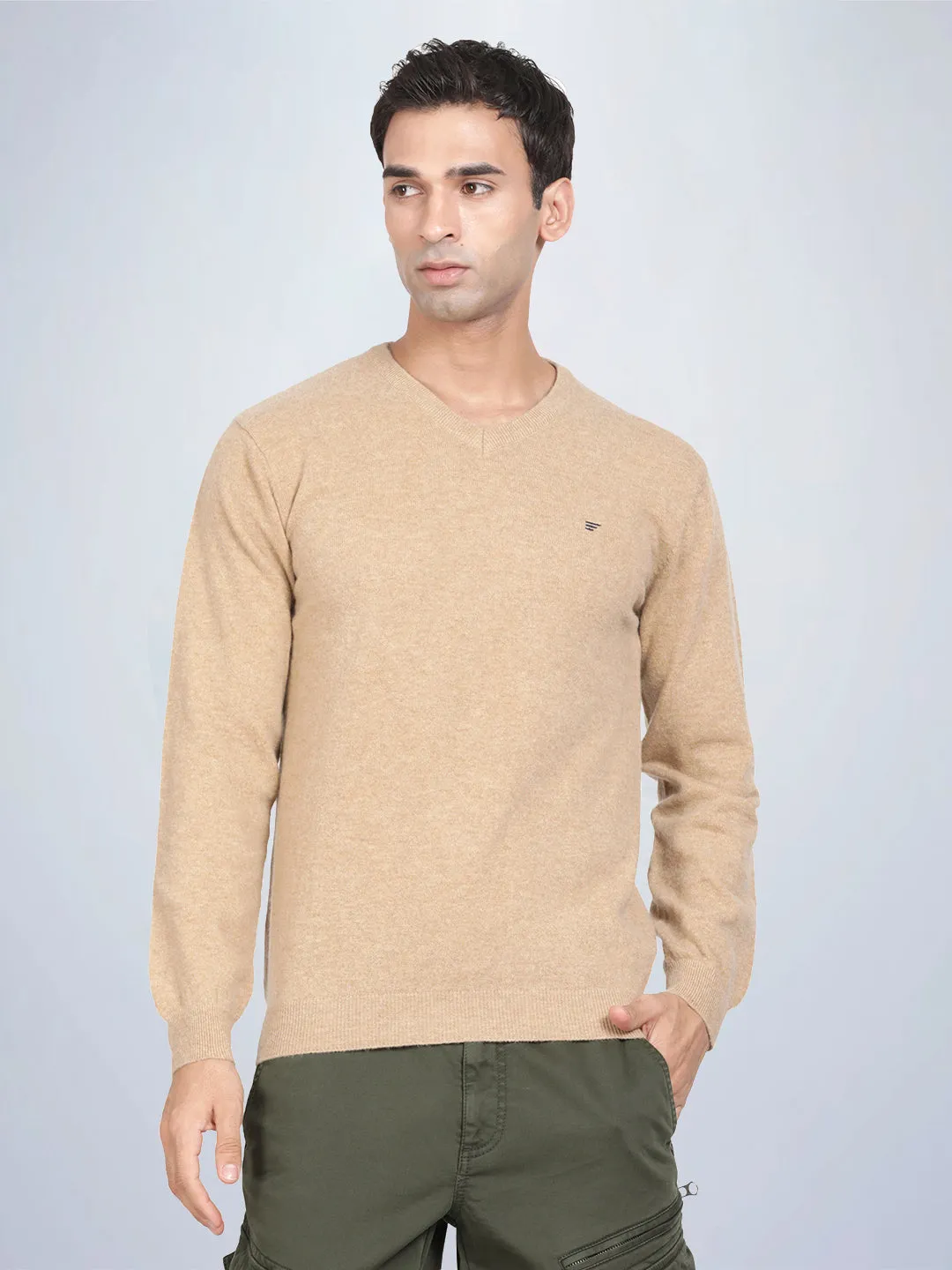 V Neck Lambswool Camel Full Sleeve Pullover